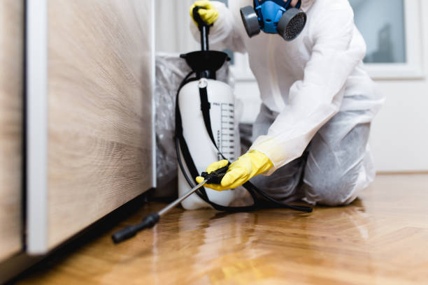 Best Local Pest Control Services  in Howland Center, OH