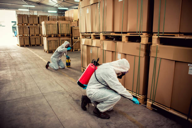 Best Pest Inspection Near Me  in Howland Center, OH