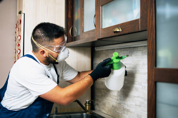 Best Bed Bug Extermination  in Howland Center, OH