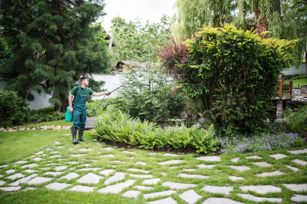 Reliable Howland Center, OH Pest Control Solutions