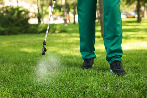 Insect Control in Howland Center, OH