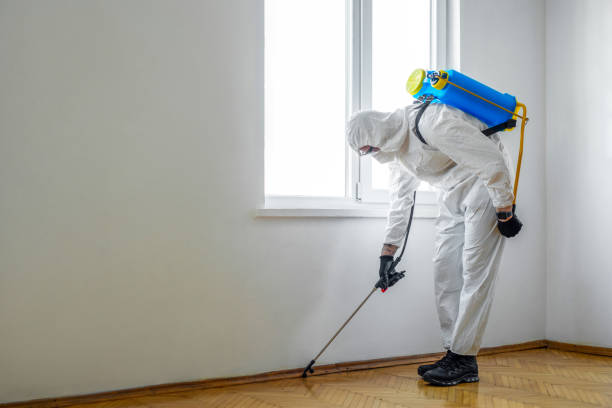 Best Pest Prevention Services  in Howland Center, OH