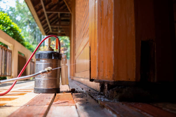Best Cockroach Control Services  in Howland Center, OH