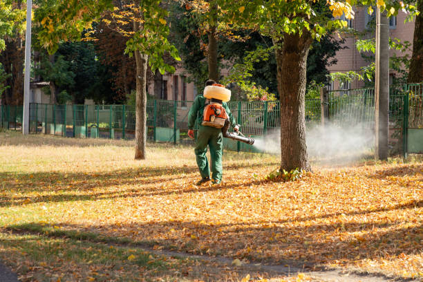 Best Flea Control Services  in Howland Center, OH